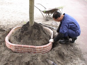 環境整備　花壇