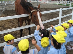 遠足　馬